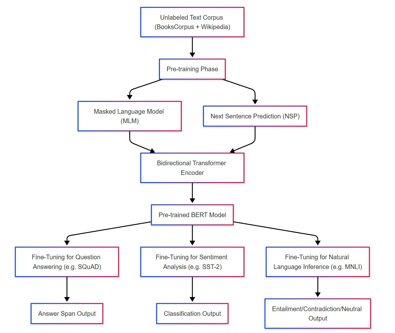 BERT architecture flowchart